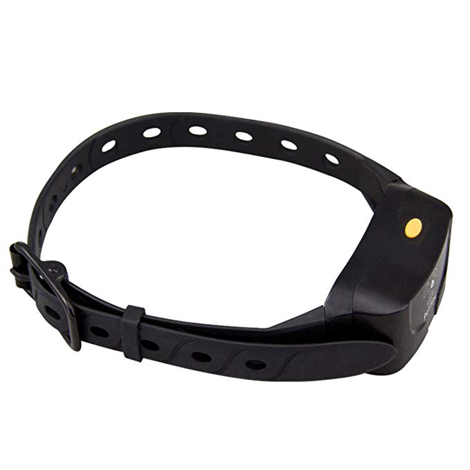 PetSpy P620 Extra Receiver Collar - Replacement Part for Dog Training Collars P620 and P620B